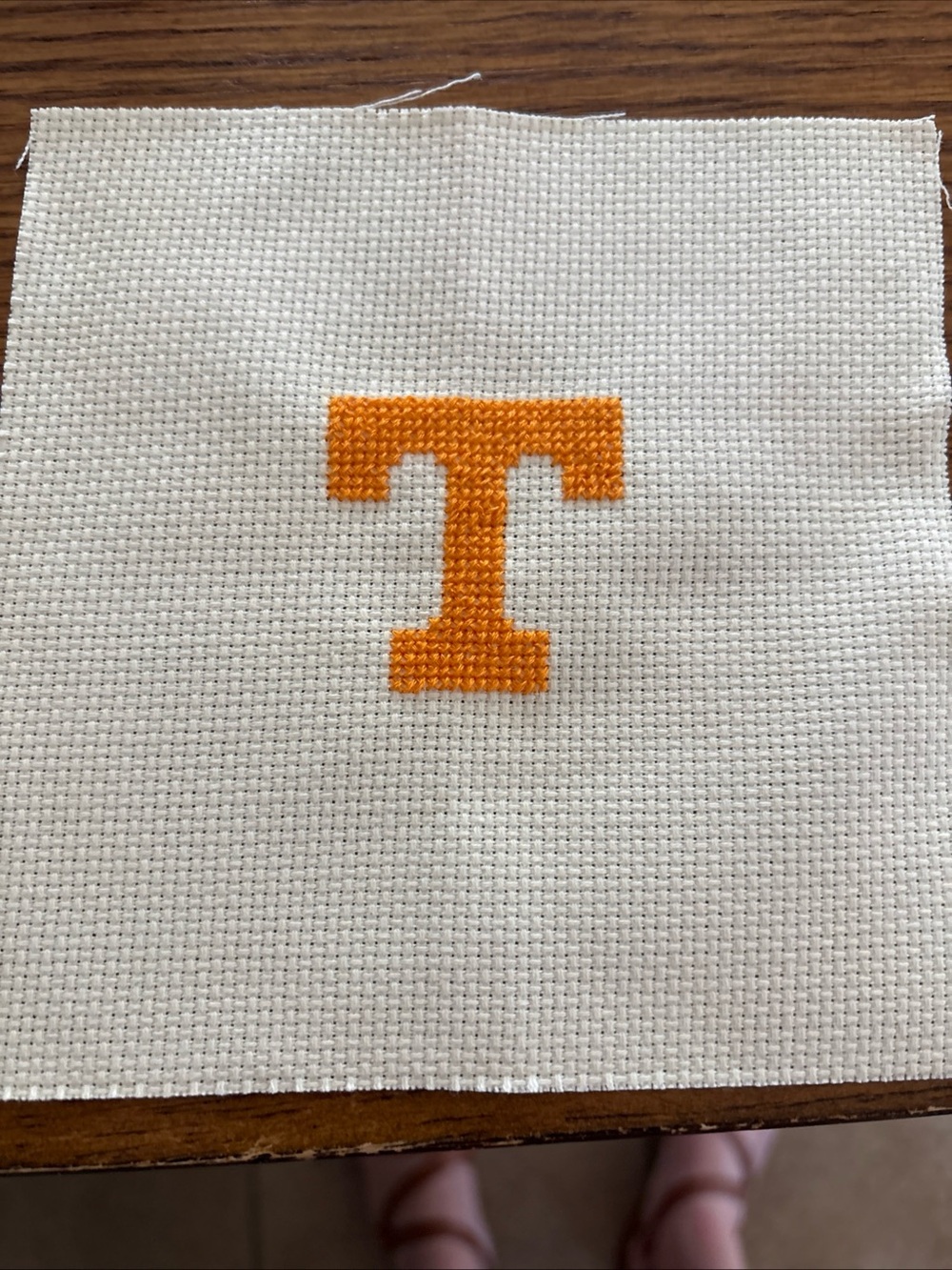 Orange Cross Stitch T Completed